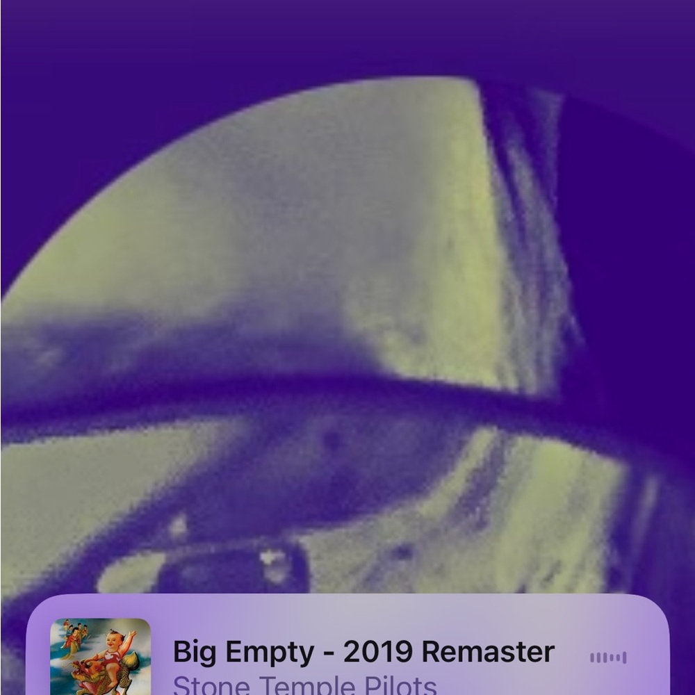 Meet your Posher, Kenny